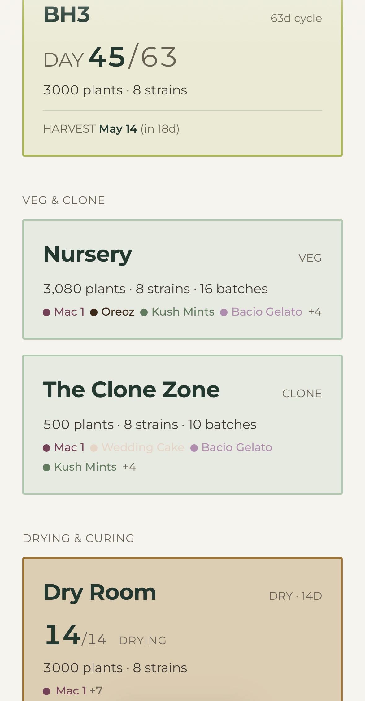 Flip veg and clone rooms — Nursery 3,080 plants, Clone Zone 500 plants, Dry Room 14 days.